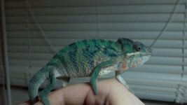 2012-06-13_21-27-01_590.jpg