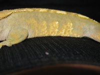 IMG_1912.jpg
