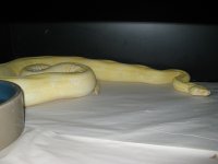 IMG_0475.jpg