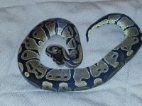 2012082895193848.jpg