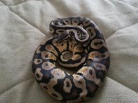 2012082895161413.jpg