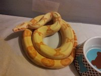 20120811_091528.jpg