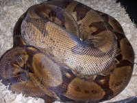20120716_070635.jpg