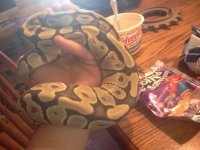 hypo3.jpg