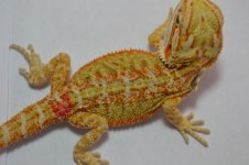 R3_8-23-2012.jpg