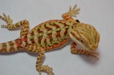 R5_8-23-2012.jpg