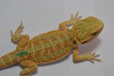 G1_8-23-2012.jpg
