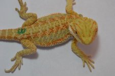 G3_8-23-2012.jpg
