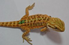 G4_8-23-2012.jpg