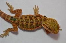 G6_8-23-2012.jpg