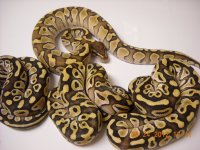8.24.2012lessm.jpg