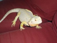 100_2343.jpg