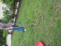IMG_1104.jpg
