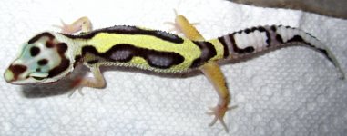 IMG_6077.jpg