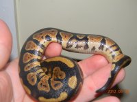 granite 001.jpg