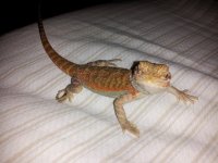 20120806_183703.jpg