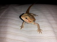20120806_183711.jpg