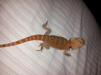 20120806_183726.jpg