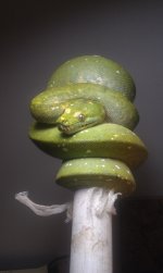 IMAG0273.jpg