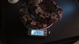 2012-09-13_16-15-11_79.jpg 2012-09-13_16-15-11_79.jpg