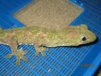 IMG_2841.jpg