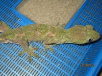 IMG_2842.jpg