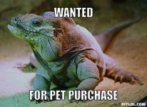 wanted-for-pet-purchase.jpg