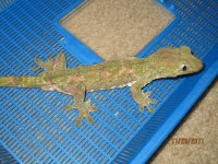 IMG_2844.jpg
