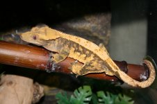 IMG_0965.jpg