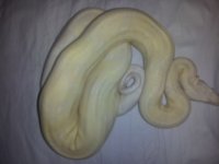 20120812_185854.jpg
