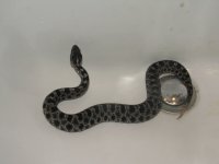 9-27-12 011.jpg