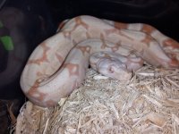 20120930_230131.jpg