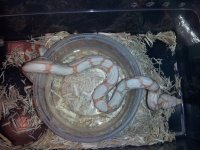 20121001_083712.jpg
