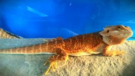 IMAG0233-1.jpg