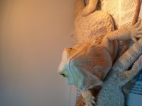 2012-07-17 12.32.08.jpg