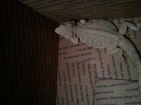 2012-06-21 23.42.01.jpg