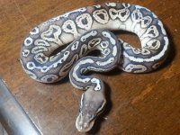 20120823_204559.jpg