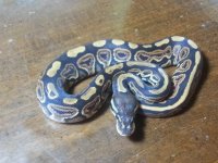 20120823_205017.jpg