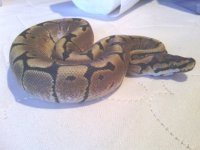 IMG_20120804_142324.jpg
