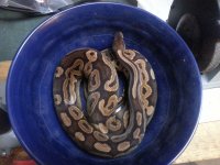 20120920_175411.jpg