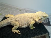 100_2582.jpg