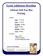 Rat Pricing.jpg