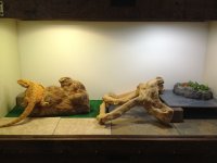 IMG_0513.jpg