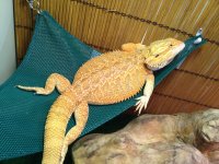 IMG_0596.jpg
