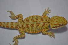 G12_6-20-2012_05.jpg