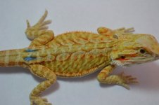 B11_7-23-2012_01.jpg