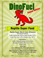 FinalVersionRaptorEdition.jpg