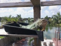 20120707_160147.jpg