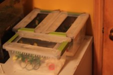 IMG_8832[3].jpg