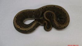 2011 Pinstripe female  5.JPG